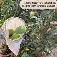 Fruit Picker Basket Tool