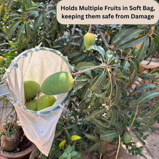 Fruit Picker Basket Tool